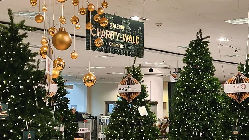 Feierlich geschmückter Charity-Wald in der Galeria Kaufhof, Chemnitz, mit glänzenden goldenen Kugeln und strahlenden Weihnachtsbäumen, die festliche Stimmung und Freude verbreiten